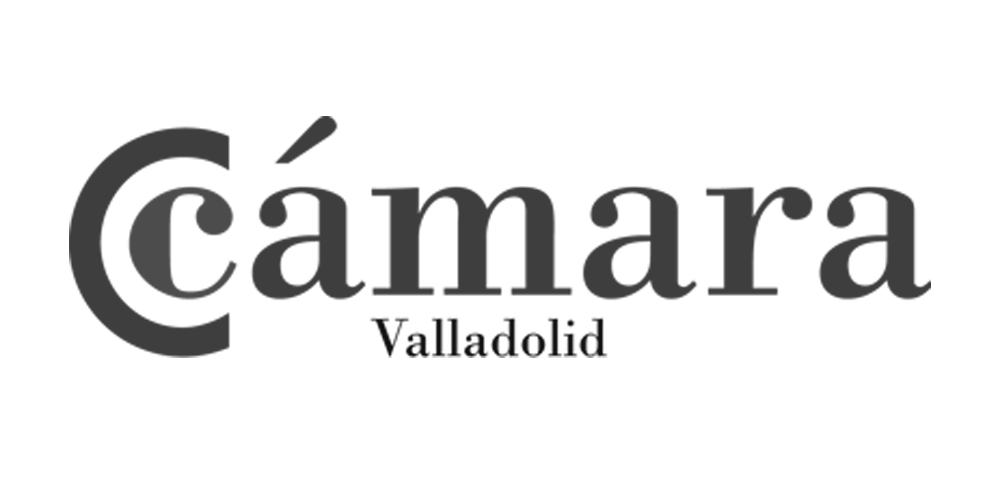 Camara-comercio-de-Valladolid_logo
